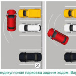 Принцип и действия парковки задним ходом